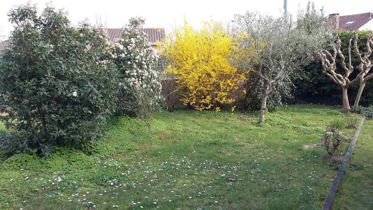Appartement A Clair Matin à Estang Extérieur photo